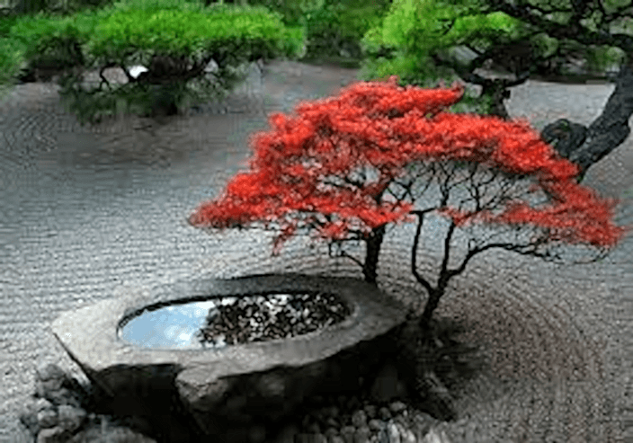 ZEN BAHÇELERİ